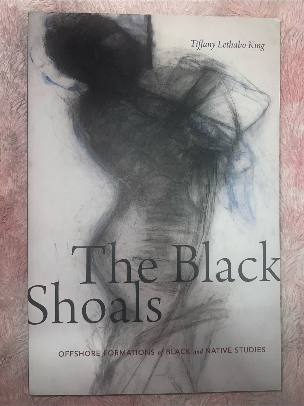 The Black Shoals by Tiffany Lethabo King